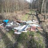 Odpady budowlane na drodze w lesie przy ul. Podleskiej<span class="fix-status status-3">Ukończony</span>