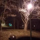 Uszkodzona lampa w parku św Franciszka <span class="fix-status status-3">Ukończony</span>