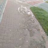 Zanieczyszczona ścieżka rowerowa wzdłuż ulic Grota Roweckiego/Niepodlegości <span class="fix-status status-3">Ukończony</span>