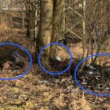 Porzucone śmieci w lesie we wskazanej lokalizacji (obok DK44/Oświęcimska i ROD)<span class="fix-status status-3">Ukończony</span>