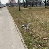 Porozrzucane śmieci wzdłuż parkingu Tychy ul. Dąbrowskiego<span class="fix-status status-3">Ukończony</span>