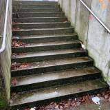 Zaśmiecone schody przed halą sportową<span class="fix-status status-3">Ukończony</span>