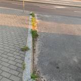 Brudne i zaśmiecone obrzeża przy krawężnikach parkingu Tychy ul. Dąbrowskiego (na przeciw park&ride)<span class="fix-status status-2">Przyjęte</span>