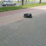 śmieci na trwniku przy Niepodległości 116<span class="fix-status status-3">Ukończony</span>