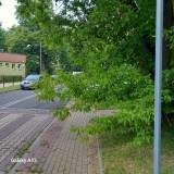 Przycięcie gałęzi<span class="fix-status status-2">Przyjęte</span>