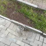 uszkodzony chodnik przy parkingu<span class="fix-status status-3">Ukończony</span>