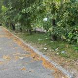 Pełno śmieci wzdłuż parkingu przy pływalni Tychy Edukacji<span class="fix-status status-2">Przyjęte</span>