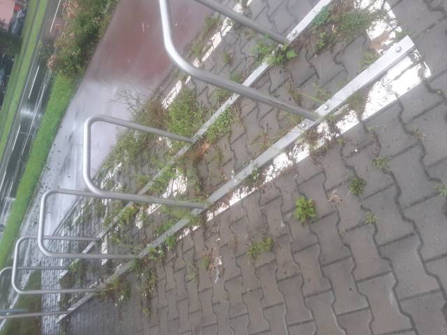 Zarastajaca stacją rowerowa 
