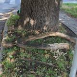 Łamiące się gałęzie <span class="fix-status status-2">Przyjęte</span>