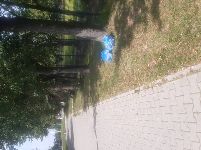 Porzucone worki ze smieciami