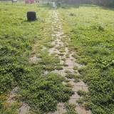 Psi Park na os. B<span class="fix-status status-2">Przyjęte</span>