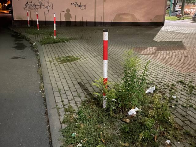 Zarośnięty i zaśmiecony chodnik Tychy ul. Elfów (na wysokości skrzyżowania z ul. Grota-Roweckiego)