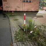 Zarośnięty i zaśmiecony chodnik Tychy ul. Elfów (na wysokości skrzyżowania z ul. Grota-Roweckiego)<span class="fix-status status-2">Przyjęte</span>