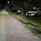 Zarośnięte obrzeża ścieżki rowerowej i chodnik wzdłuż parkingu Tychy al. Bielska<span class="fix-status status-3">Ukończony</span>