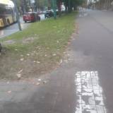 Śmieci przy przystankach<span class="fix-status status-2">Przyjęte</span>
