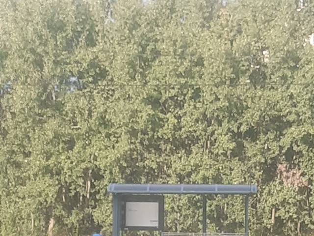 Uszkodzony kosz na przystanku