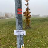 Park i osiedle T obwieszone ogłoszeniami parafii bł. Karoliny na latarniach ulicznych i drzewach<span class="fix-status status-2">Przyjęte</span>