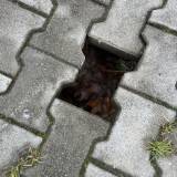 Dziura w chodniku na ok 30 cm pod brakującym puzlem<span class="fix-status status-3">Ukończony</span>