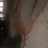 Liście na ryneczku osiedle K<span class="fix-status status-2">Przyjęte</span>