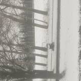 Porzucony wozek<span class="fix-status status-2">Przyjęte</span>