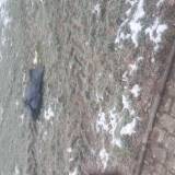 Zakegajajacy worek<span class="fix-status status-2">Przyjęte</span>