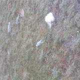 Zalegajace butelki po alkoholu <span class="fix-status status-2">Przyjęte</span>