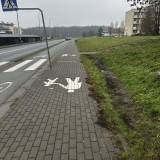 Ślady opon na trawniku<span class="fix-status status-3">Ukończony</span>