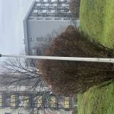 Niedziałające oświetlenie - latarnie<span class="fix-status status-3">Ukończony</span>