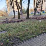 Niezgrabione liście i śmieci Dębowa 26-28<span class="fix-status status-4">Odmowa</span>