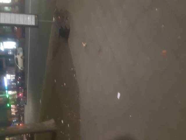 Śmieci przy tymczasowych przystankach