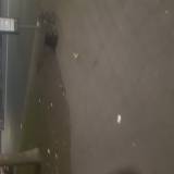 Śmieci przy tymczasowych przystankach<span class="fix-status status-3">Ukończony</span>