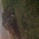 Zalegalace liście <span class="fix-status status-3">Ukończony</span>