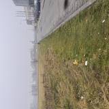 Śmieci wzdłuż ulicy Gajowej<span class="fix-status status-2">Przyjęte</span>