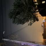 Niedziałająca latarnia<span class="fix-status status-3">Ukończony</span>