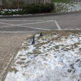 uszkodzony słupek<span class="fix-status status-2">Przyjęte</span>