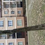 Martwe drzewo<span class="fix-status status-2">Przyjęte</span>