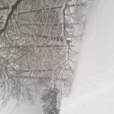 Połamane drzewa<span class="fix-status status-2">Przyjęte</span>