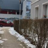 Spalona żarówka w latarni<span class="fix-status status-3">Ukończony</span>