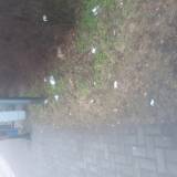 Śmieci przy przystanku Tychy Targowisko <span class="fix-status status-2">Przyjęte</span>