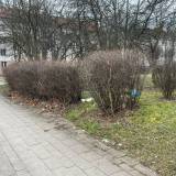 Porzucone worki ze śmieciami i drobne odpady przy skrzyżowaniu ul Budowlanych z Biblioteczną <span class="fix-status status-3">Ukończony</span>