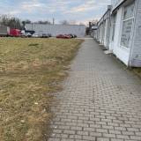 Zaniedbany i zarośnięty chodnik przed pawilonem Tyszanka<span class="fix-status status-6">Poza uprawnieniami</span>