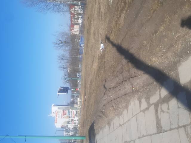 Rozjechany trawnik zielony