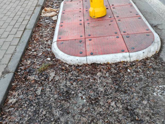 Nie posprzątana ulica koło szkoły 