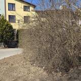 krzewy zasłaniające widoczność<span class="fix-status status-2">Przyjęte</span>