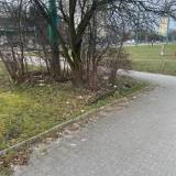 Śmieci w krzewie Tychy ul. Armii Krajowej <span class="fix-status status-2">Przyjęte</span>