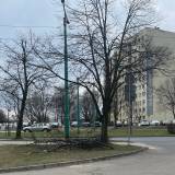 Złamana gałąź Tychy al. Piłsudskiego na wysokości skrzyżowania przy budynku Piłsudskiego 67<span class="fix-status status-2">Przyjęte</span>