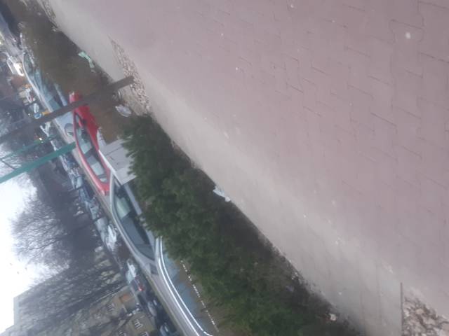 Śmieci i liście w rabatach