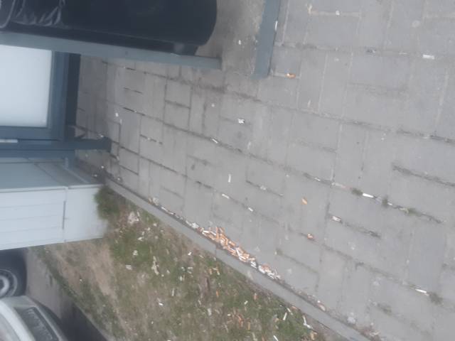 Zanieczyszczone przystanki