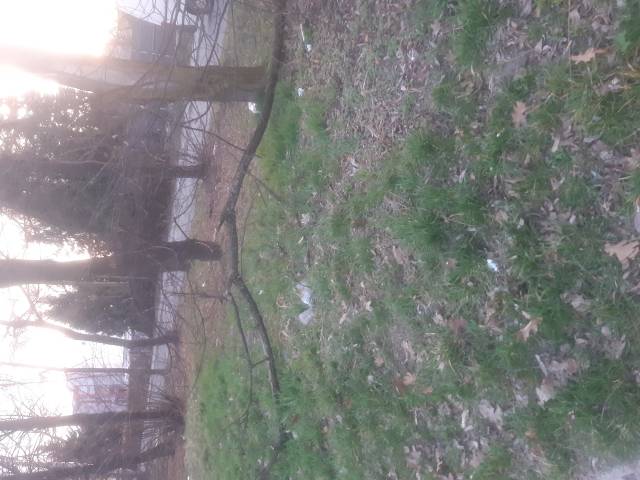 Zaniedbany teren przy ul.Stoczniowców