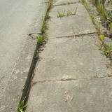Uszkodzony chodnik na długości 20m<span class="fix-status status-4">Odmowa</span>